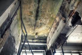 Best Forensic Mold Investigation  in Geneva, AL